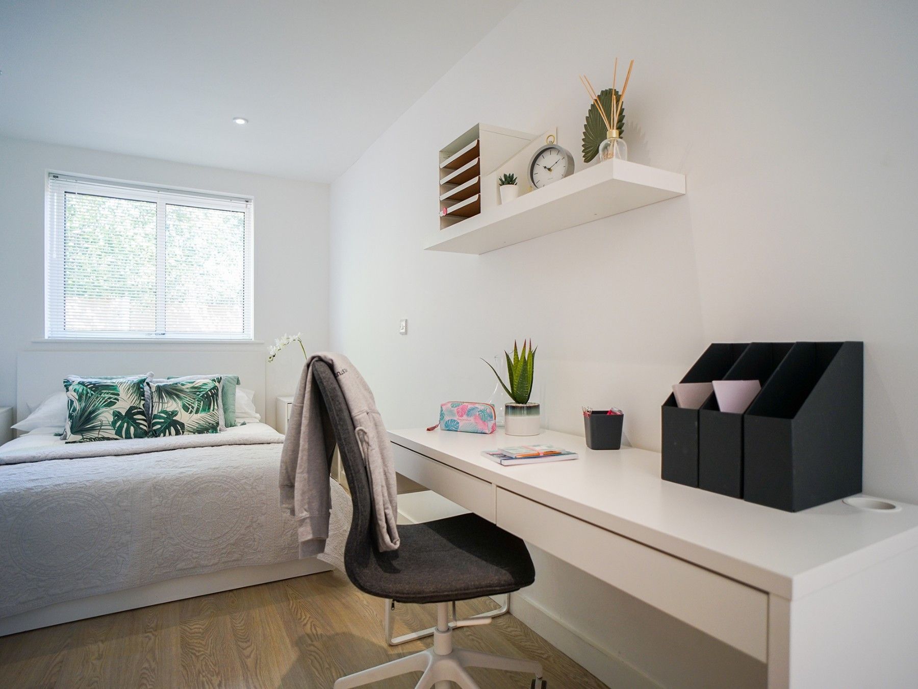 Deluxe Studio